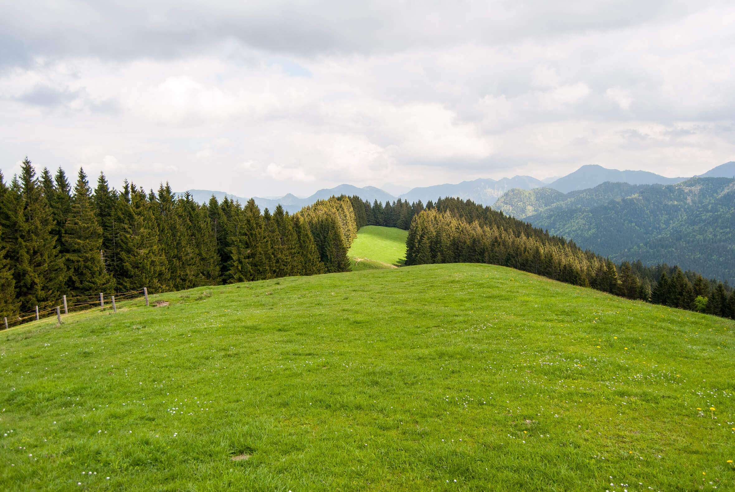 Mtb singletrail tegernsee
