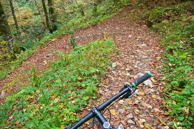 Kurve am Hirschberg-Trail