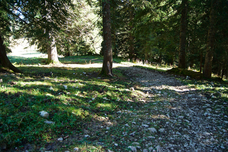 Breiter Trail von der Rauhalmhütte