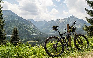 Der Wald gibt den Blick in Richtung Hirschberg frei