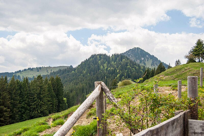 Blick von der Aueralm in Richtung Fockenstein