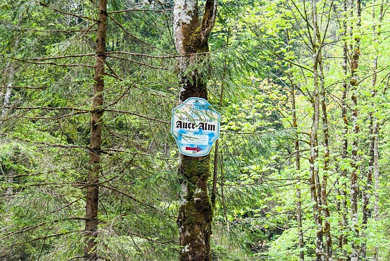 Immer gut ausgeschildert: Die Aueralm