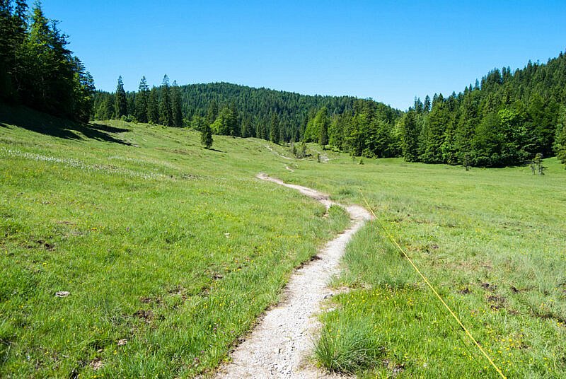 Einsamer Trail von der Luitpolder Alm