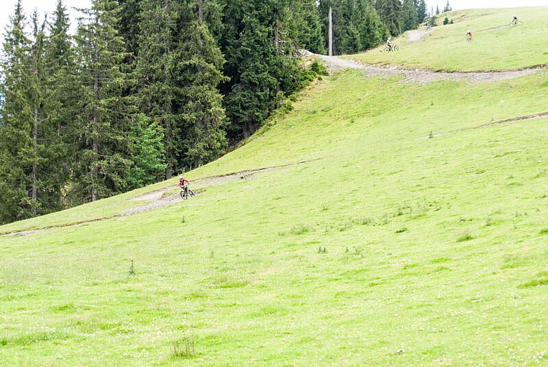 Trail-Abfahrt im Bikepark Leogang