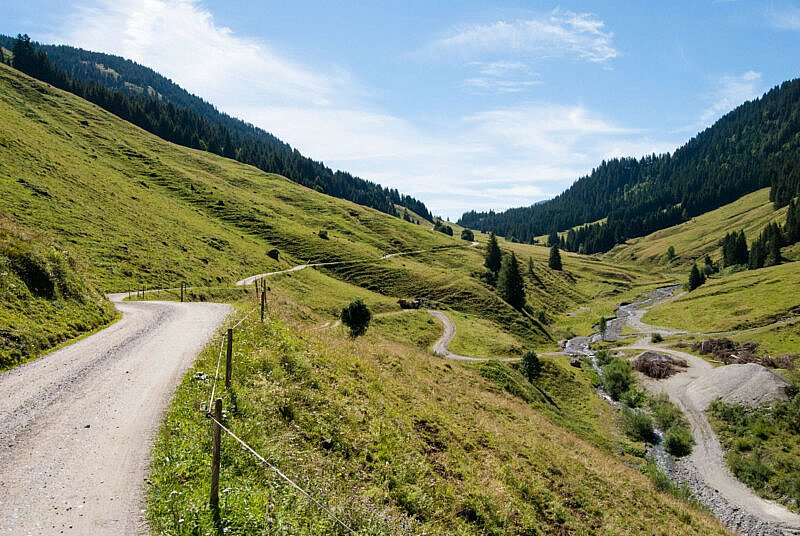 Entspannte Auffahrt auf Forststraßen
