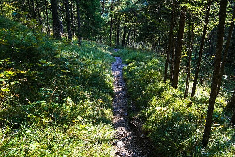 Downhill am Seinsbachtrail