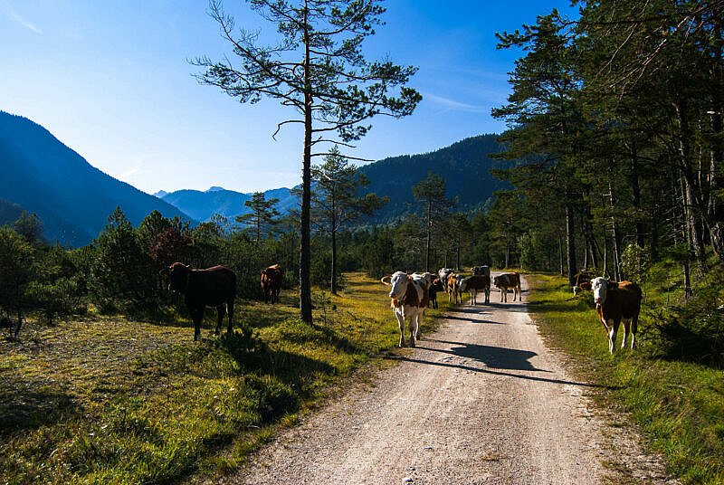 Auf dem Weg von Scharnier ins Karwendeltal