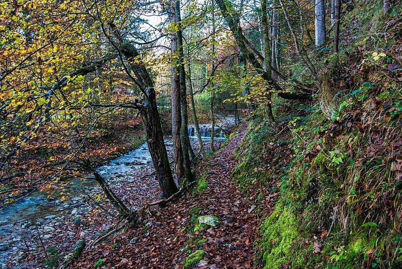 Trail zum Weitsee