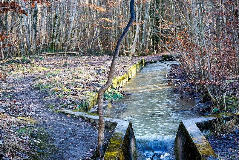 Andechs Trail am Bach