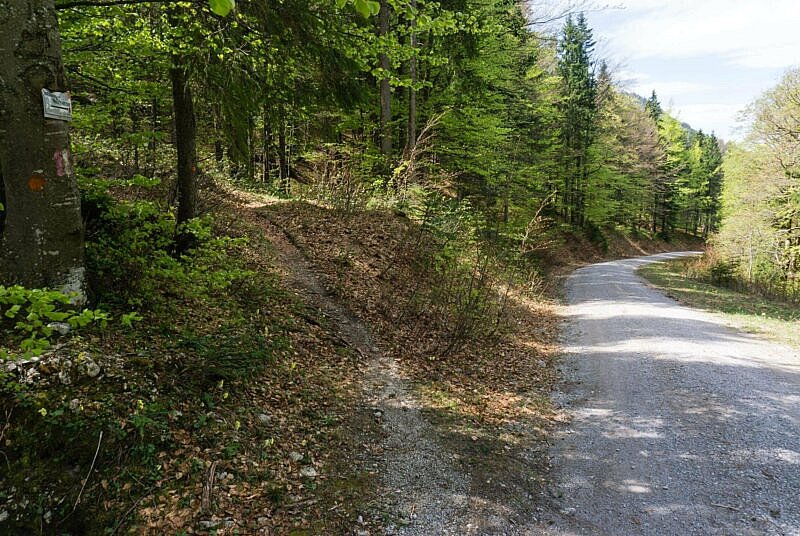 Erster Trail