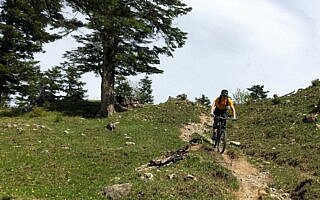 mountainbike tour bayern