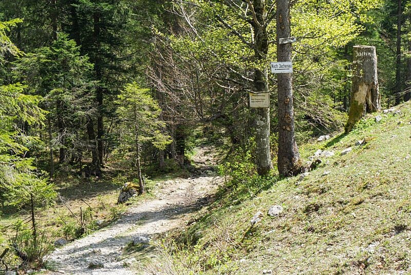 MTB Trail Jachanau