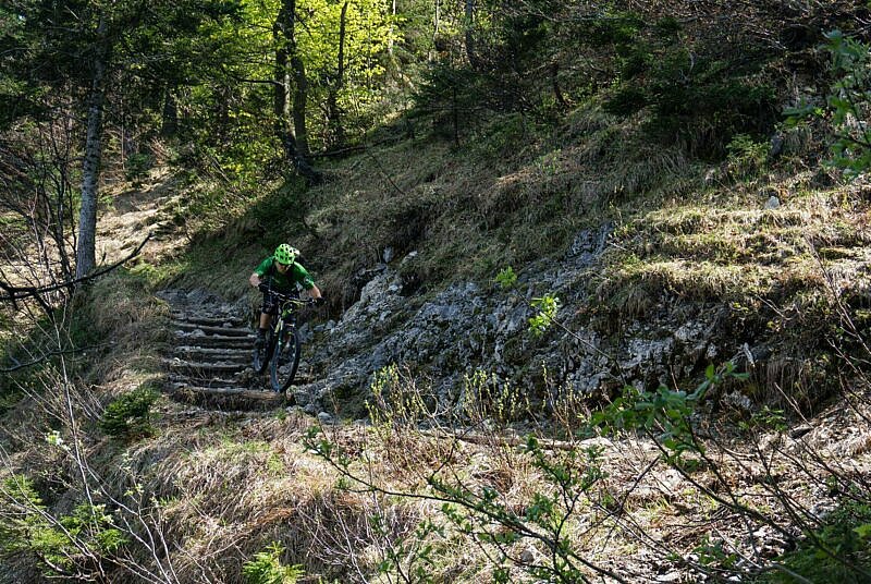 MTB Trail zur Orterer Alm
