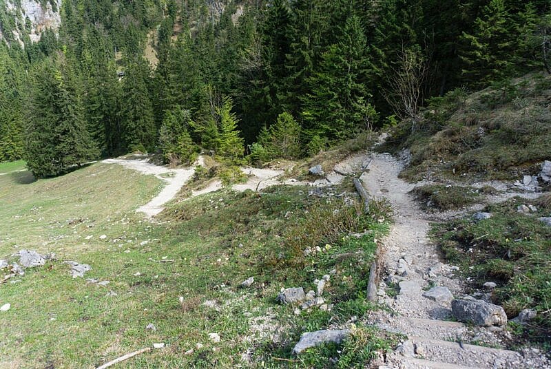 Trail zur Orterer Alm