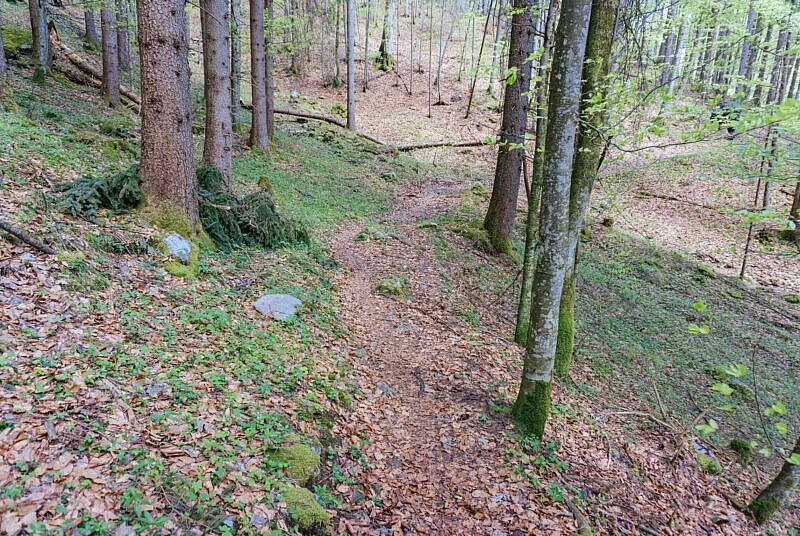 Kleiner Trail am Walchensee