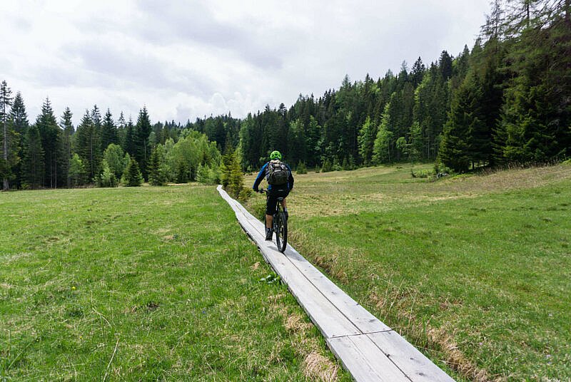 Holzplanken am Moos