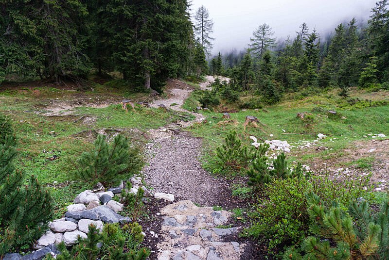 Trail nach der Neuen Alplhütte