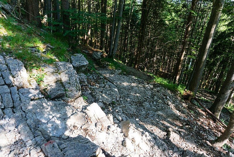 Sachenbach Trail