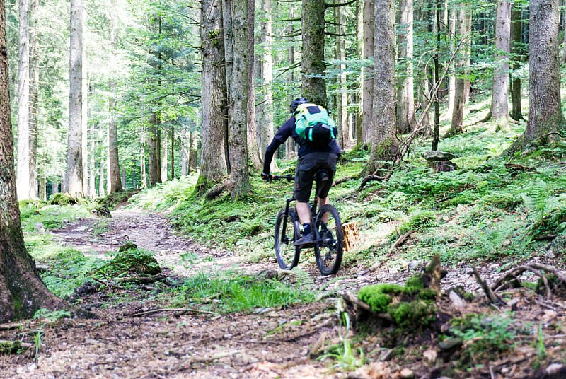 Trail zur Sattel-Alm