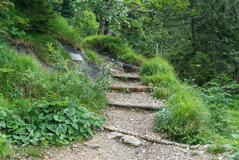 Stufen am Trail