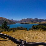 Mountainbiken im Sticky Forest Wanaka (Neuseeland)