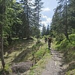 Altlacher Hochkopf Trail am Walchensee