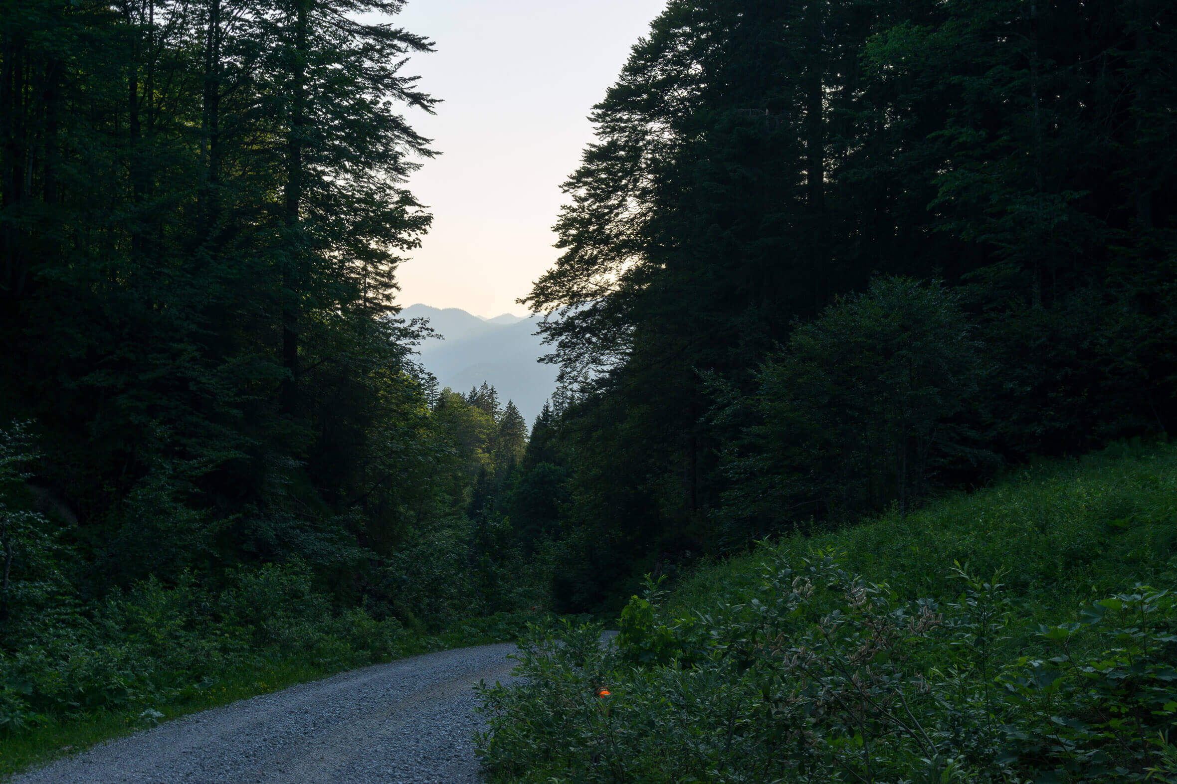 Auffahrt durch's Hirschbachtal
