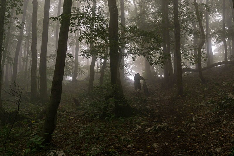 Durch den Nebel auf dem Nanos Plateau