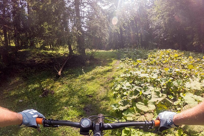 Trail vom Sudelfeld