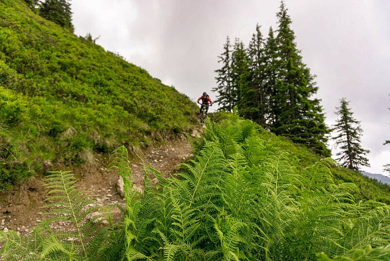 Bergstadl Trail