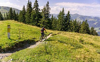 Fleckalm Trail