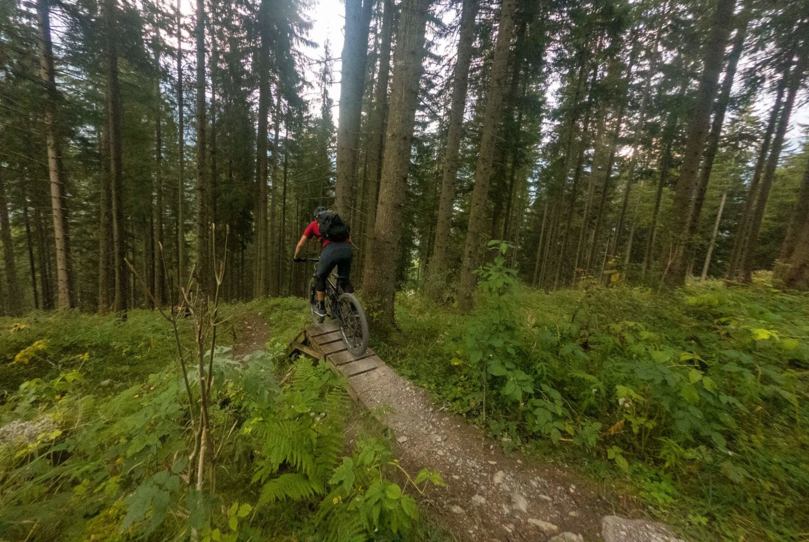Lermoos singletrail